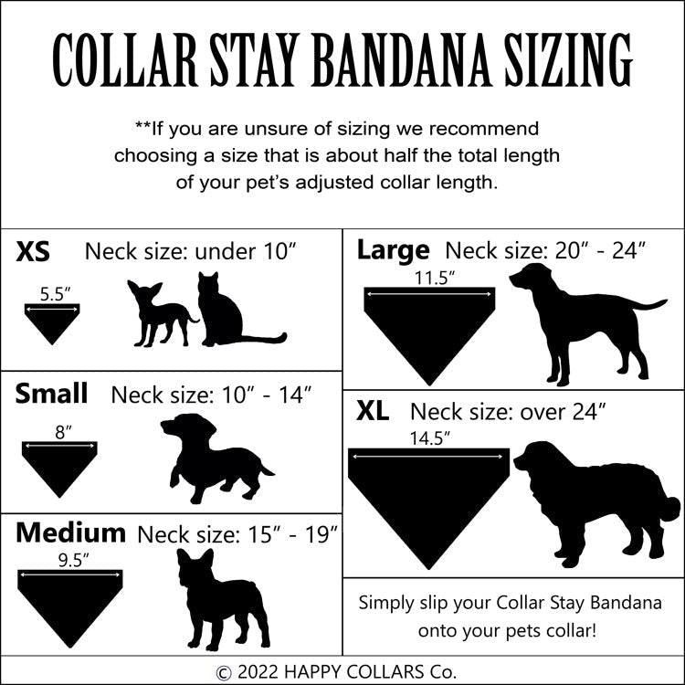 Eek! - Halloween Collar Slip On Bandana