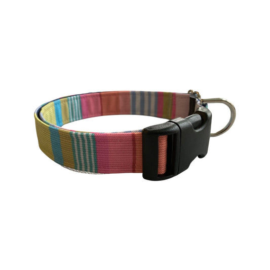 Beach Stripe Dog Collar
